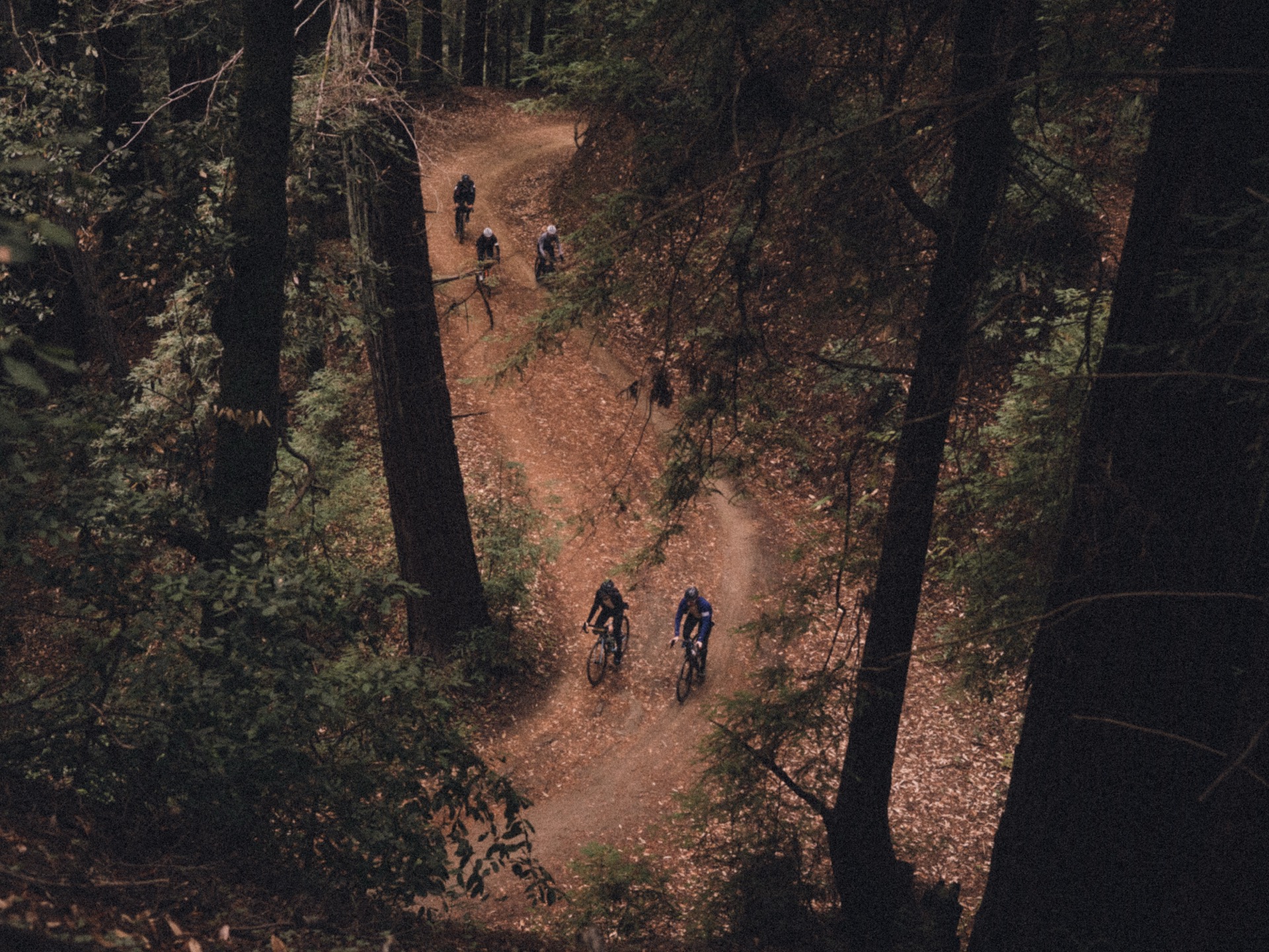 Rapha Prestige Santa Cruz